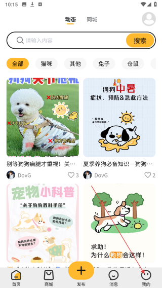 宠宠很忙
