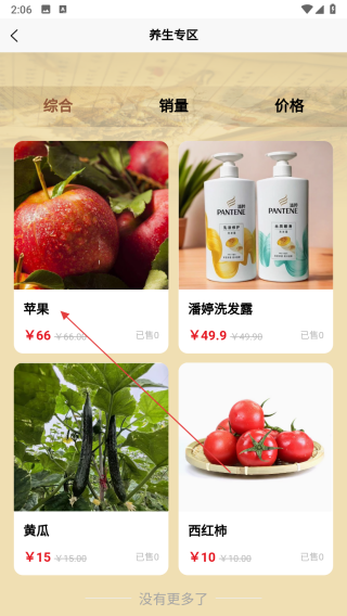 雒家传