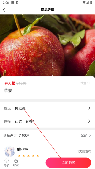 雒家传