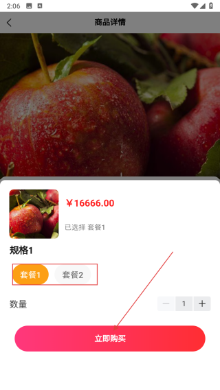 雒家传