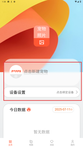 宠悦悦