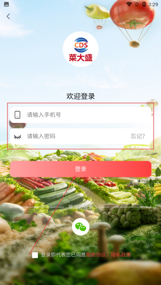 菜大盛