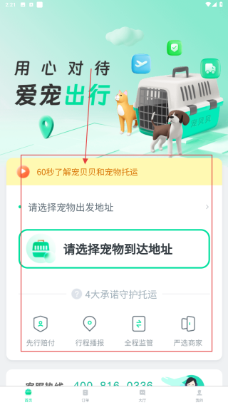 宠贝贝宠物托运