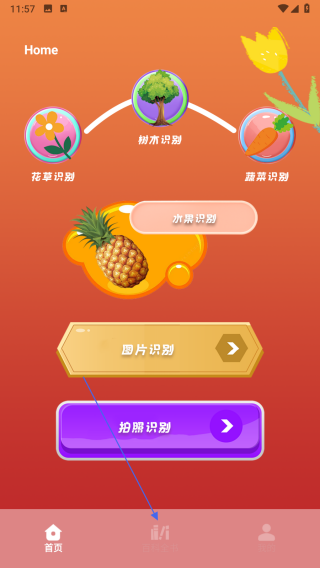 花朵物语pro