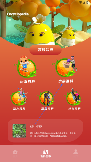 花朵物语pro