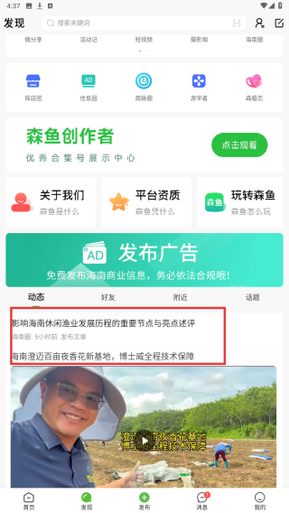 森鱼