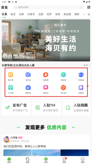 森鱼