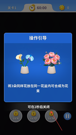 快乐绽放