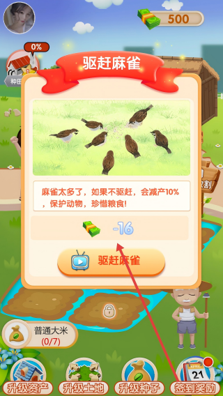 快来看大米