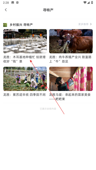 龙胜发布