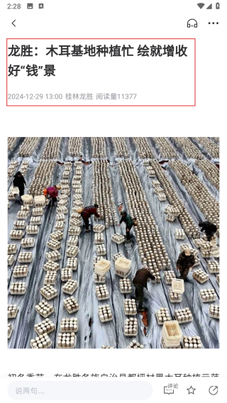 龙胜发布