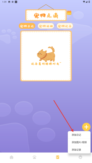 爱逗猫狗