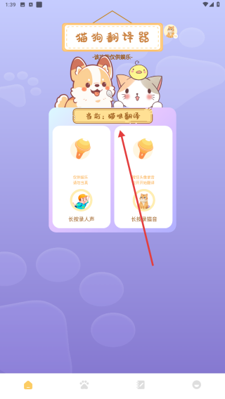 爱逗猫狗