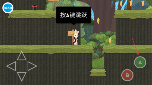 追逐繁星的兔子