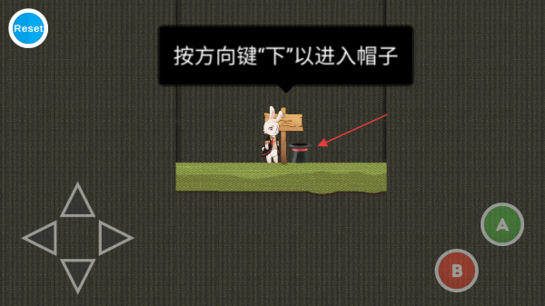 追逐繁星的兔子