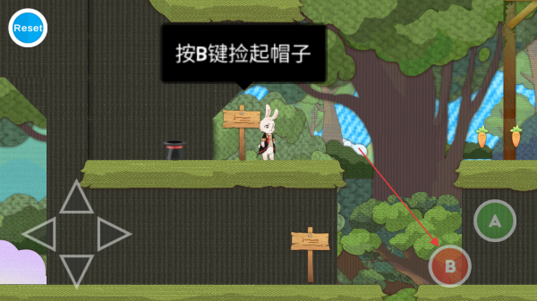 追逐繁星的兔子