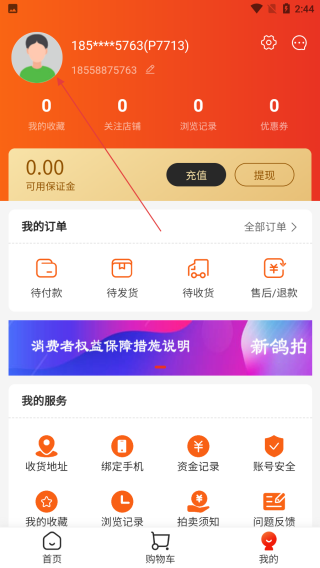 新鸽拍