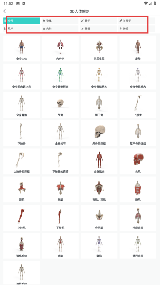 掌上3d解剖