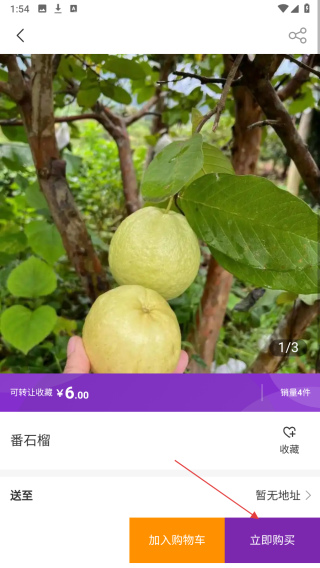 斐谣庄园