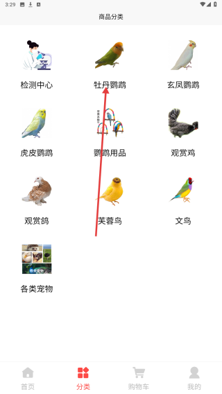 鸟园