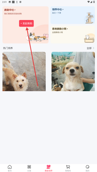 老疯杨