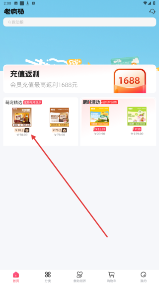 老疯杨