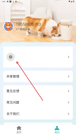 莱森宠物