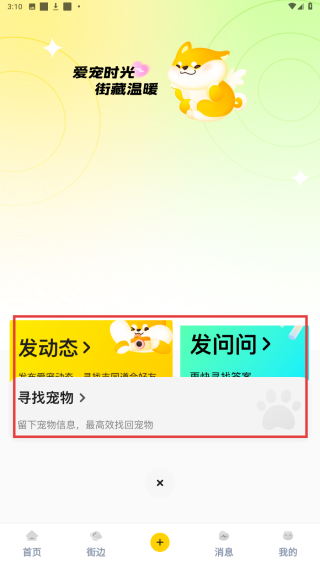 宠物街
