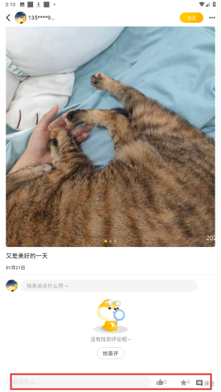 宠物街