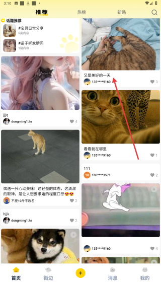 宠物街