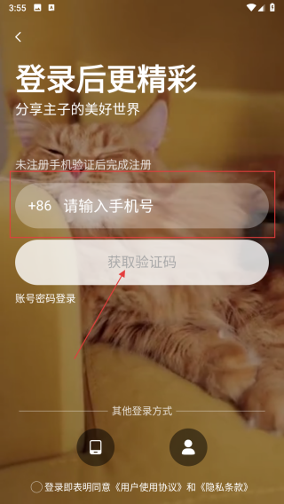 抱米花