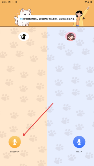 遇见你的猫咪