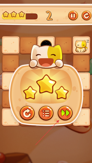 喂猫
