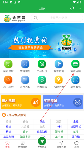 金苗网