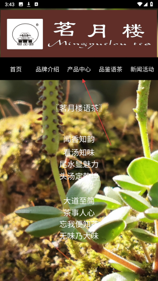 茗月楼茶业