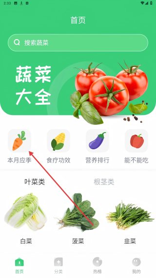 有机蔬菜
