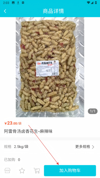 冻品熊猫