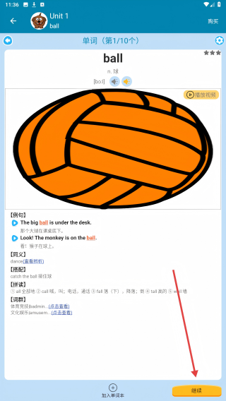 每日英语单词
