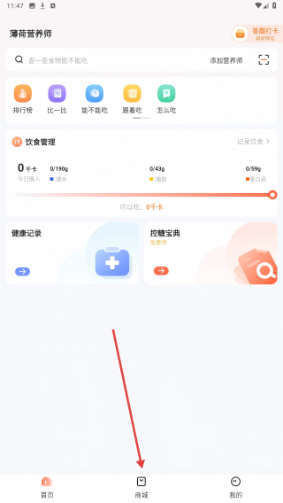 食物派