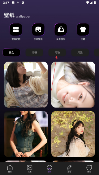 海豚壁纸