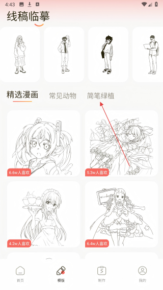 prcorcte绘画