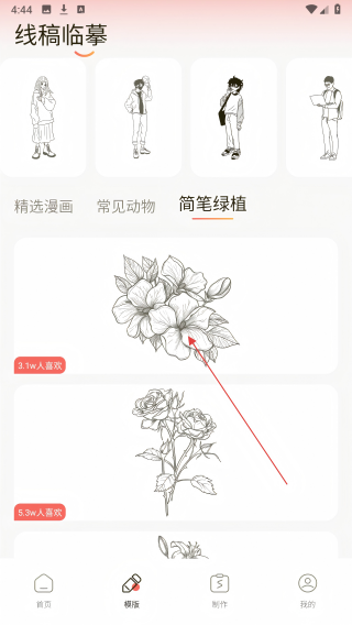 prcorcte绘画