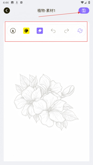 prcorcte绘画