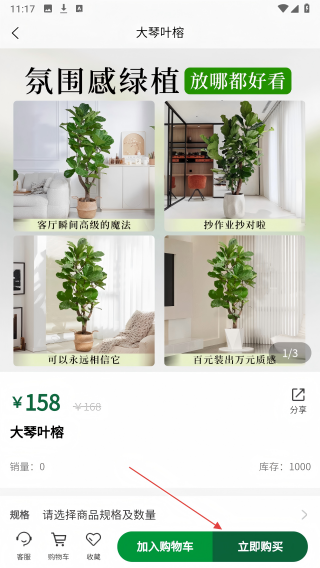 米福