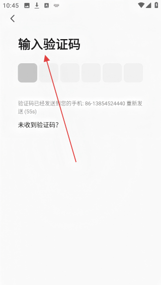 派兮宠物