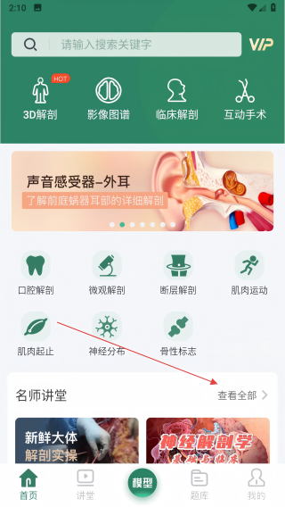 医用人体解剖