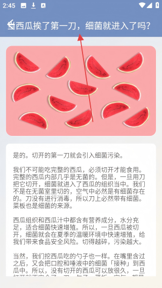 西瓜王国