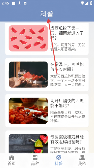 西瓜王国