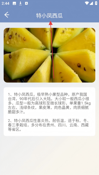 西瓜王国