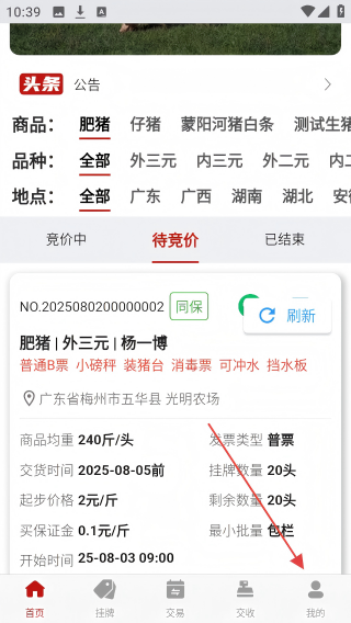 猪悦悦